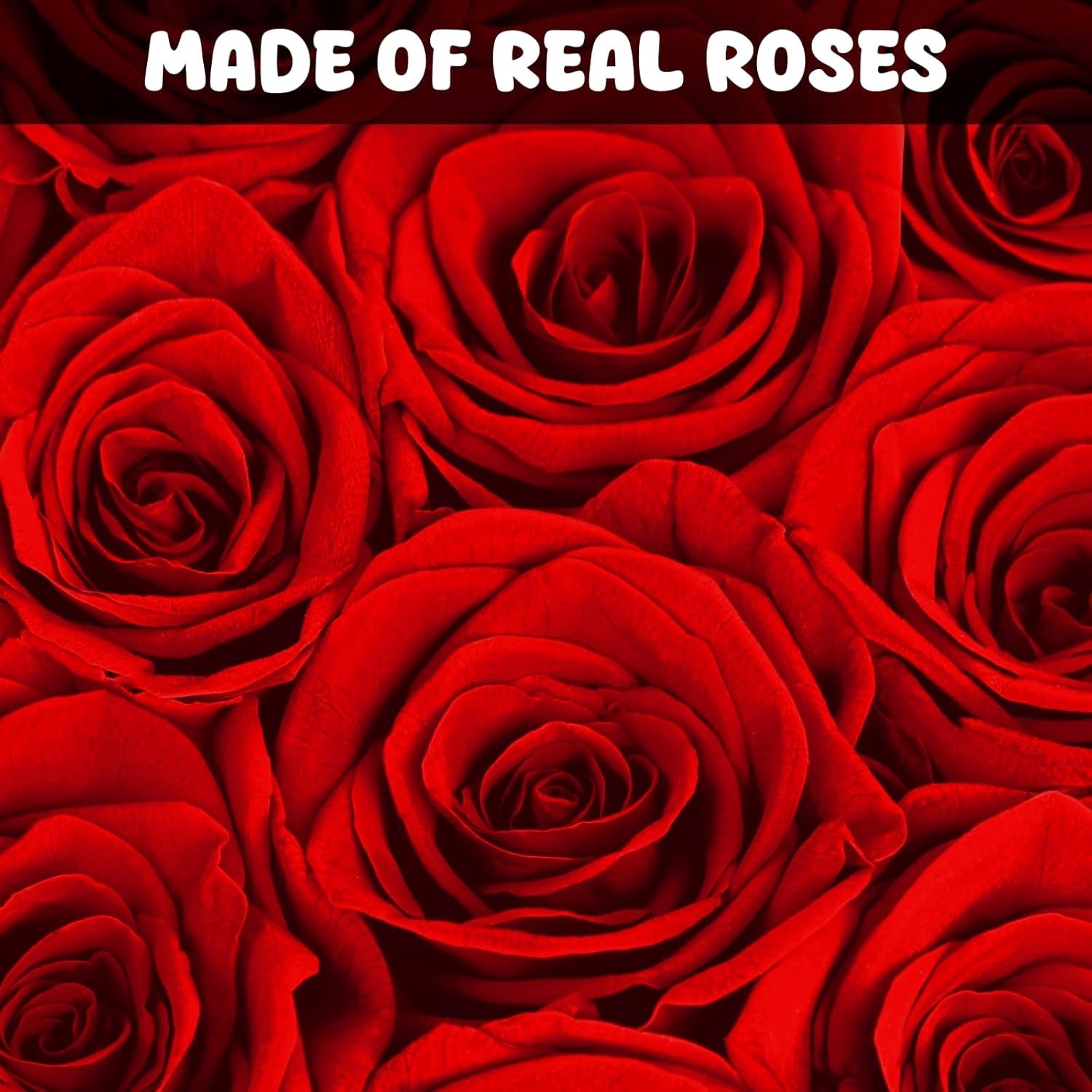Preserved Roses Flowers for Delivery 16 Pcs, Forever Flores in Heart Box with Ne