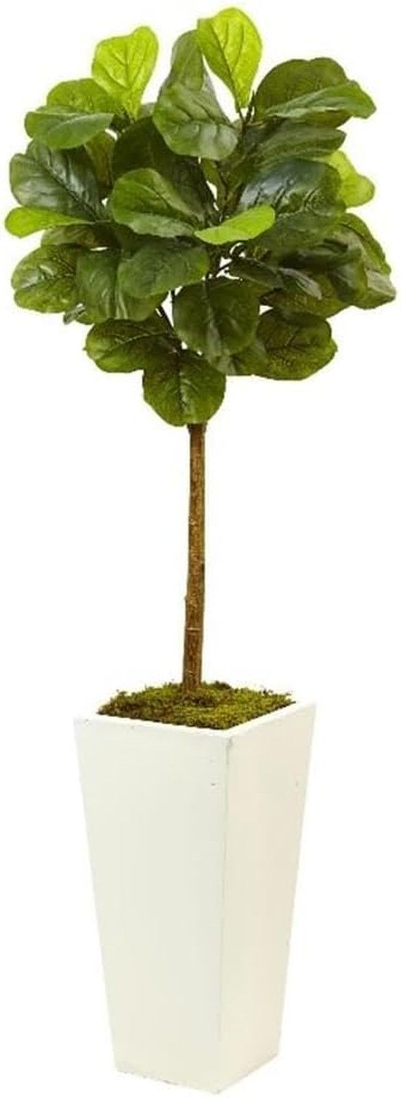 4.5Ft Real Touch Fiddle Leaf Fig in Elegant White Planter