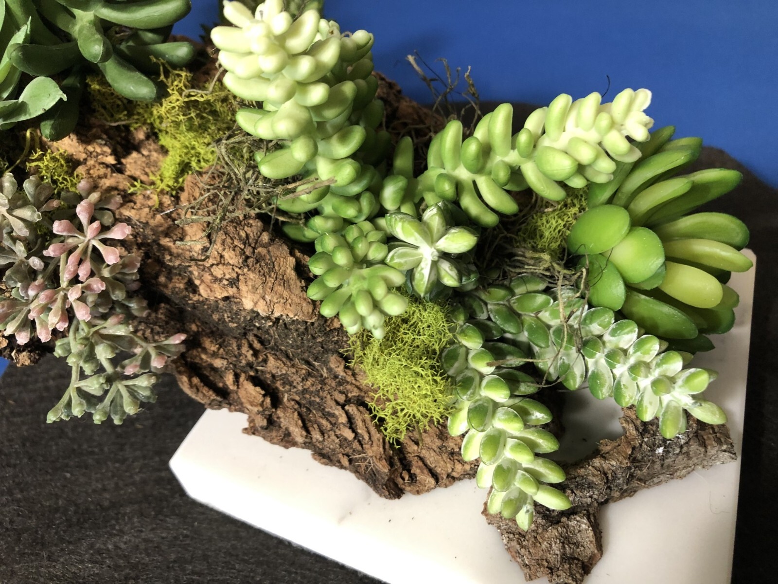 Artificial Succulent Air Plant Home Office Mounted on Real Wood Bark and Stone