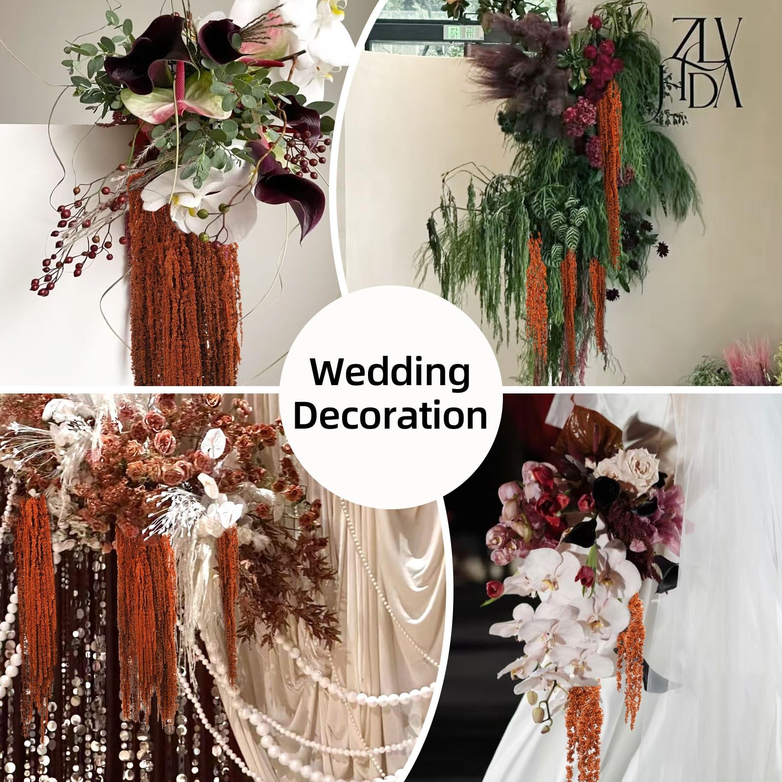 5Pcs Dried Amaranthus Hanging Flowers, Natural Preserved Flower for Wedding A…