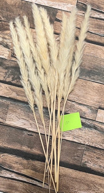 Natural Dried Pampas Grass ~ Boho ~ Home Decor ~ Wedding ~ 70 pcs