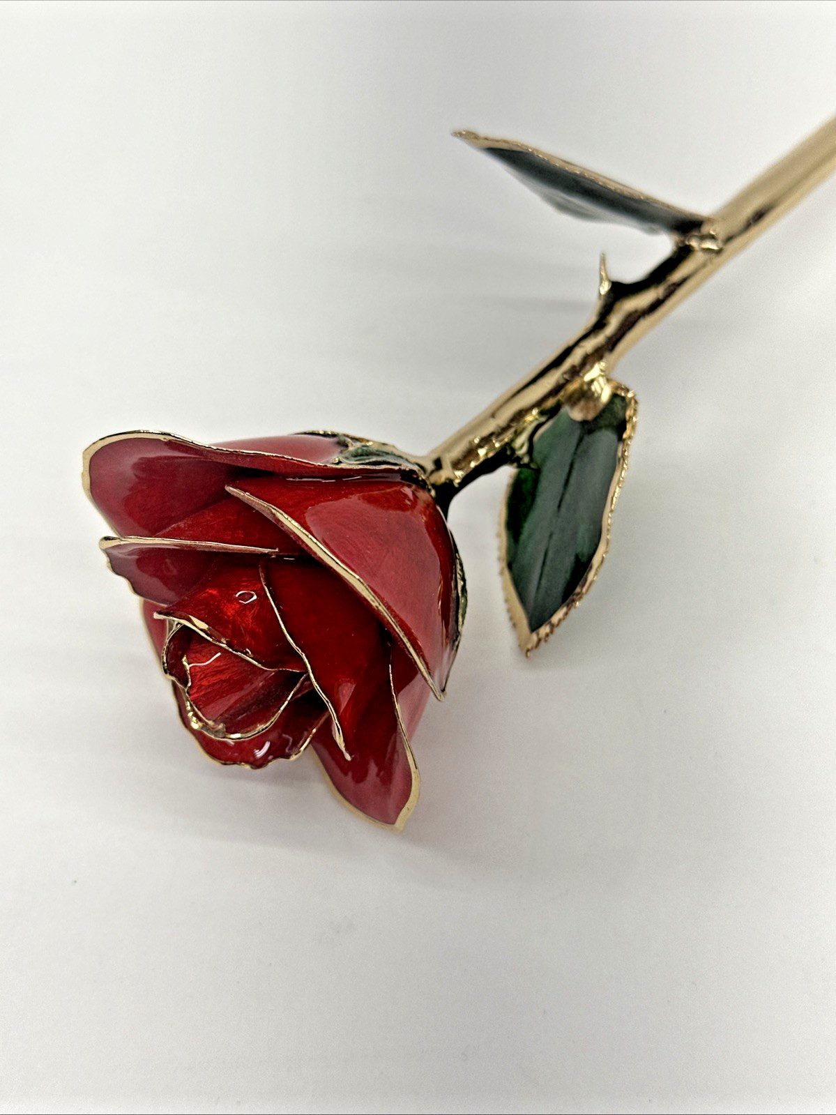 24k Gold Accent Roses Steven Singer Red & Gold & Golden Blooming Rose