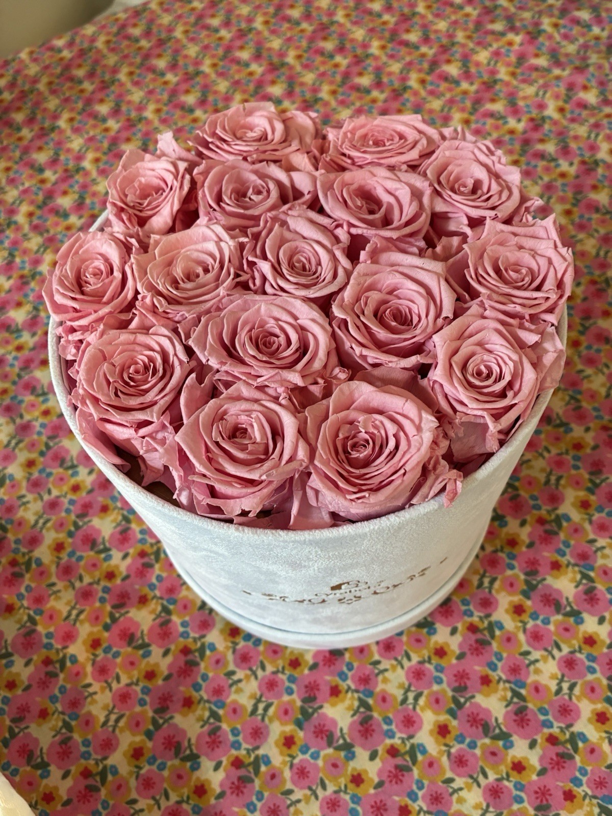 Cyrabota Luxury Preserved Pink Roses in White Suede Box 16 Count
