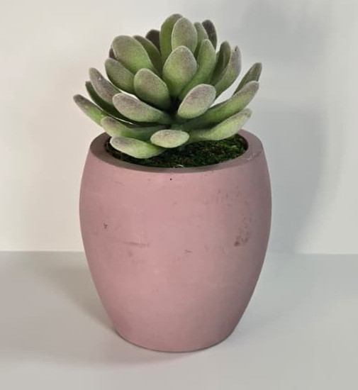 Modern Concrete Succulent in Pink Pot – Handmade Decor, No Water Needed!