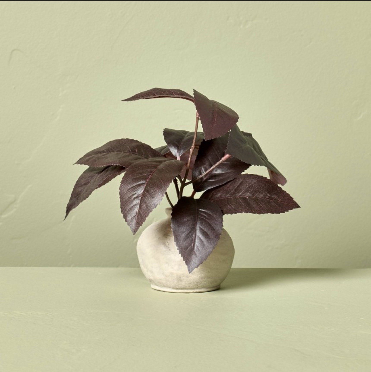 6.5″ Black Plum Leaf Artificial Plant Arrangement Hearth & Hand with Magnolia