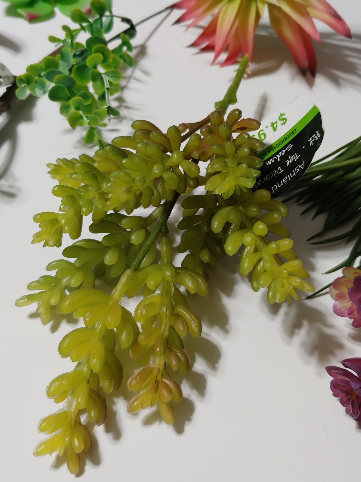 Lot of 16 Ashland Succulents Greenery Floral Picks Sizes 1.5″ to 11″ Craft Decor