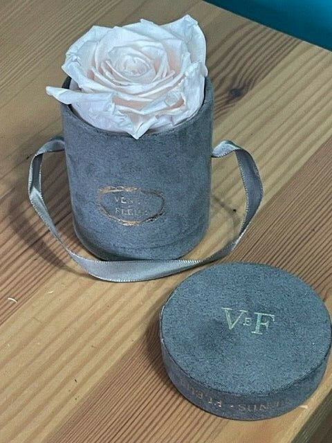 VENUS ET FLEUR FLOWER ROSE SCENTED LE MINI ROUND BOX PRESERVED ROSE DECOR