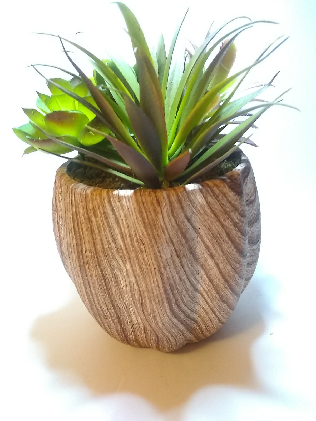 New Ceramic Planter w/ Faux Succulent Plant Decor, Brown & Cream 8 “