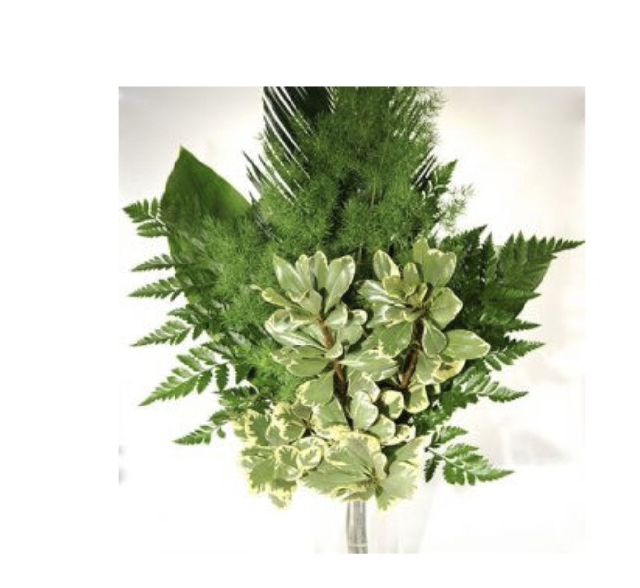 Greenery “drop in” Bouquets MEDIUM 10 Bunches