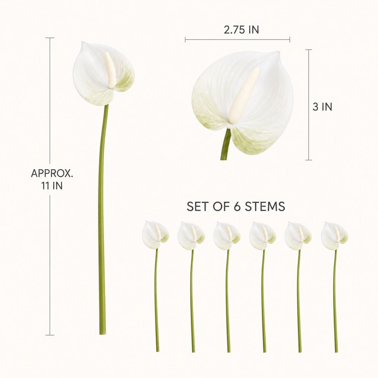 White Green Real-Touch Artificial Anthurium Stems, Set of 6, 11 Inch Faux Tropic