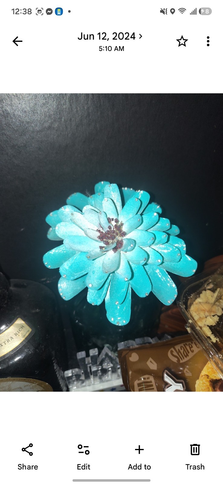 Handmade Blue Seashell Flower Coastal Beach Nautical Home Decor Shell Art