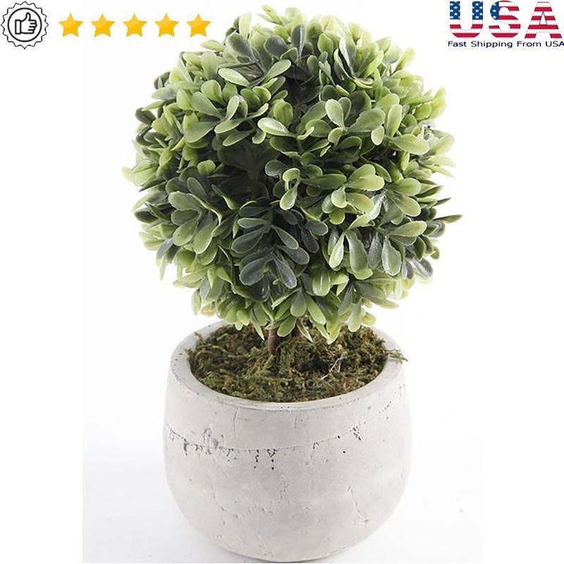 Lifelike Artificial Mini Boxwood Topiary in Gray Cement Pot Indoor Home Decor US