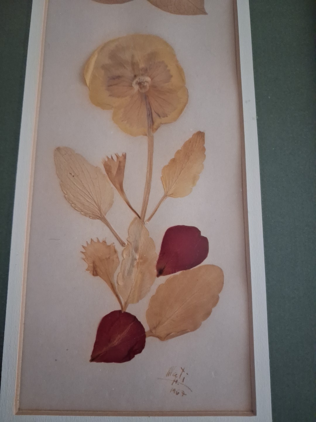 Wall Art Dried Pressed Real Flowers in Frame 21″x9″ 1967