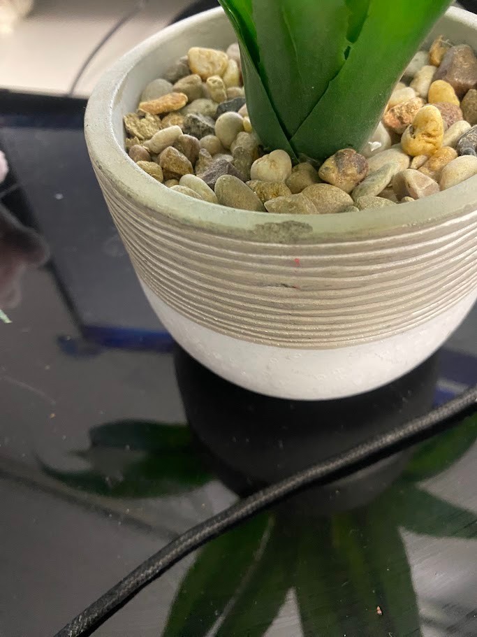 Plastic Plant Decor Small Home Decoration Homegoods.