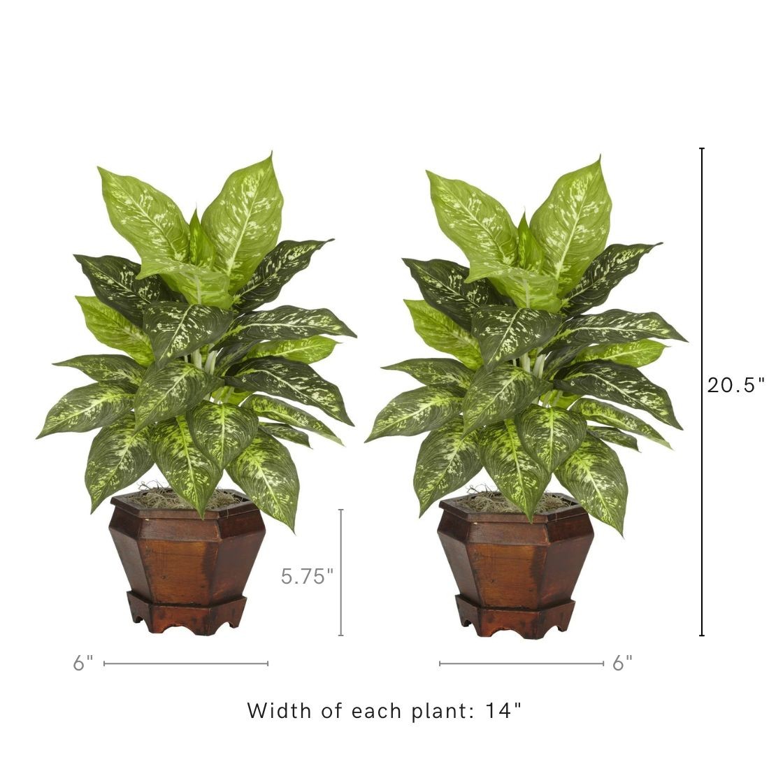 Golden Dieffenbachia w/Wood Vase Silk Plant Variegated