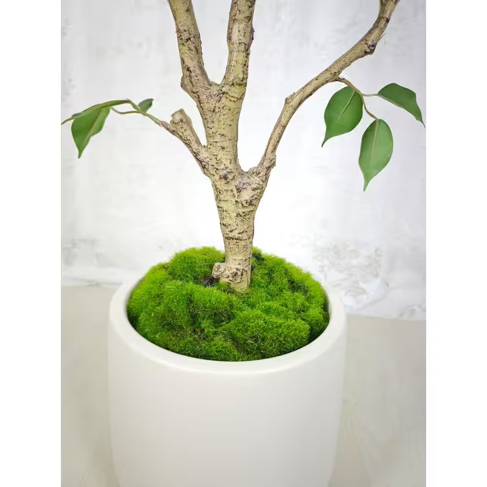 5 Ft. Artificial Ficus Tree in White Decor Pot, Faux Green Plant Indoor Home Dec