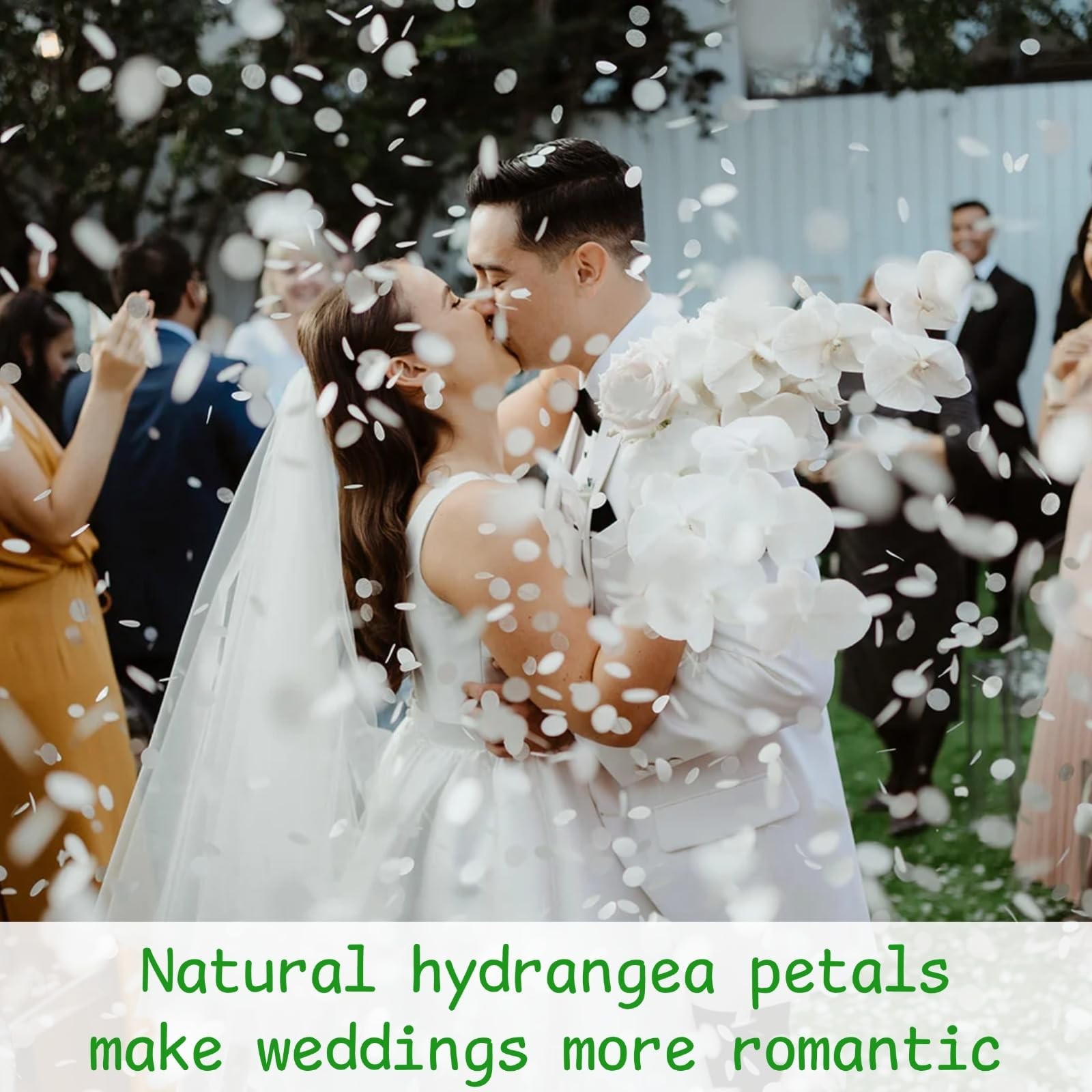1500Pcs Real Dried Ivory White Hydrangea Flower Petals – Natural smal Petals …