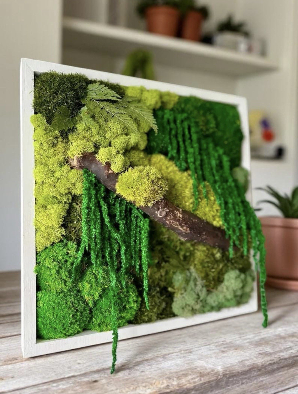 Nature & Moss Art -Wall Hanging Framed