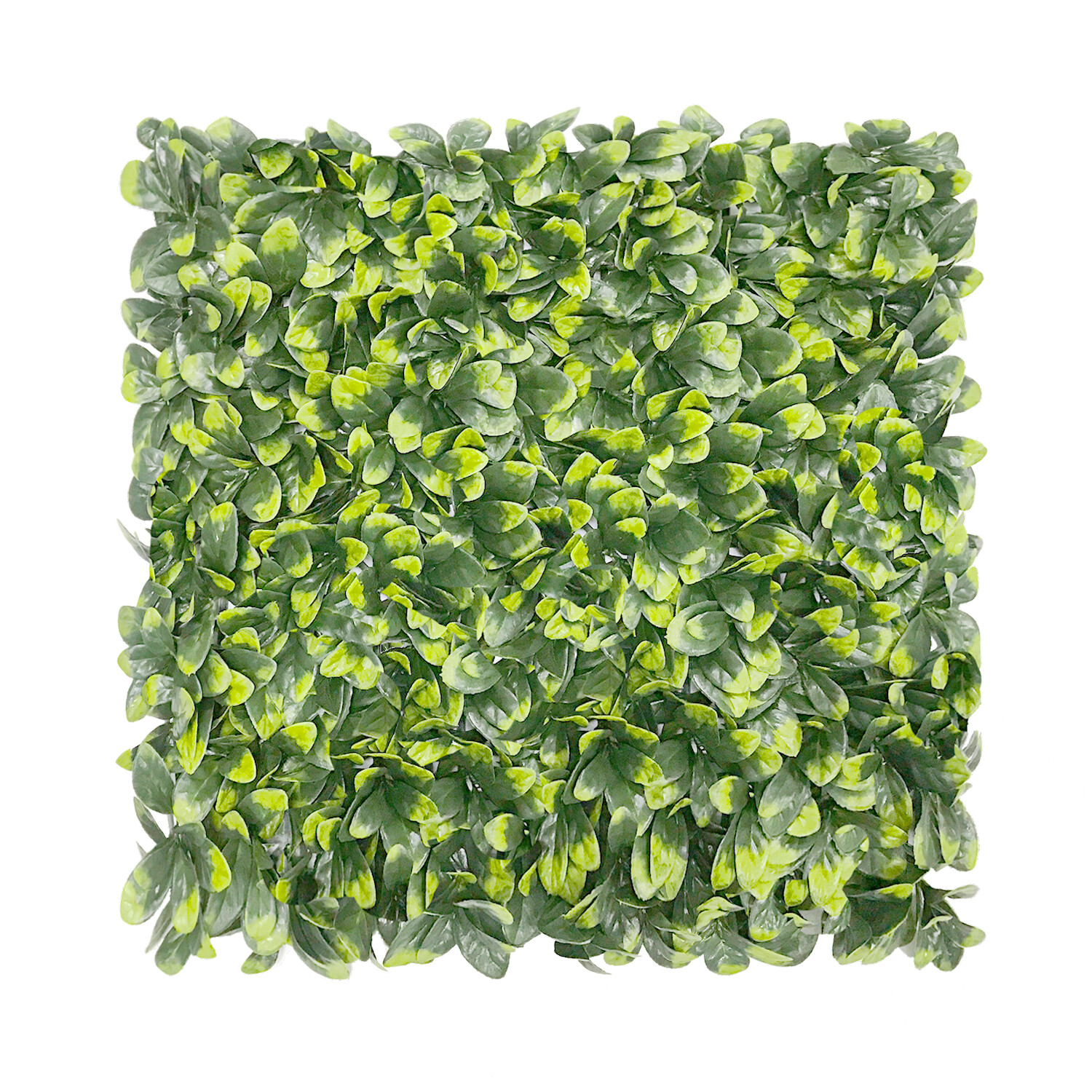 20″x20″ Artificial Greenery Grass Wall Hedge Decor Privacy Fence Panel, Ficus