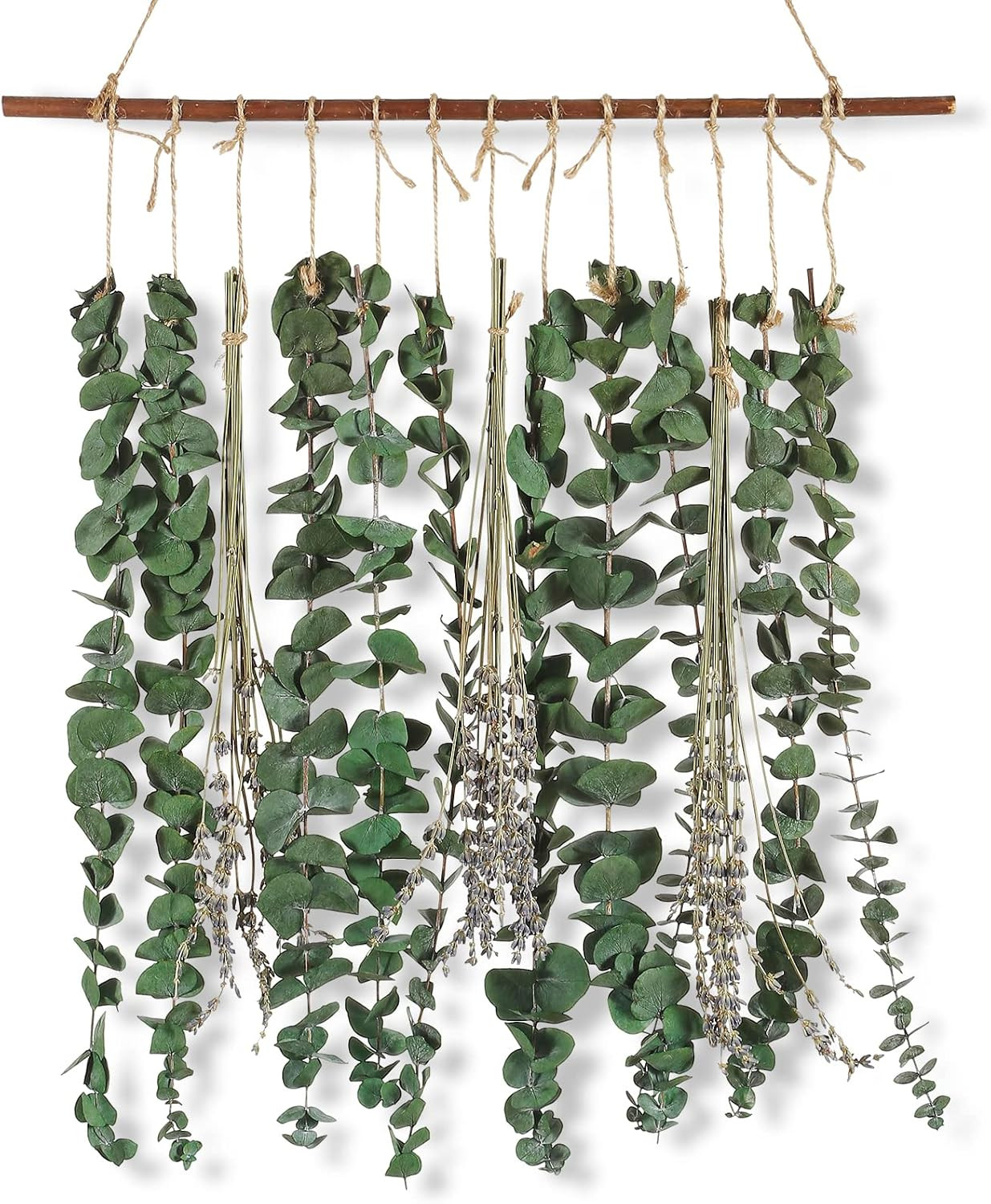 Bathroom Decor Real Eucalyptus for Shower Wall Hanging | Fresh Eucalyptus Stems