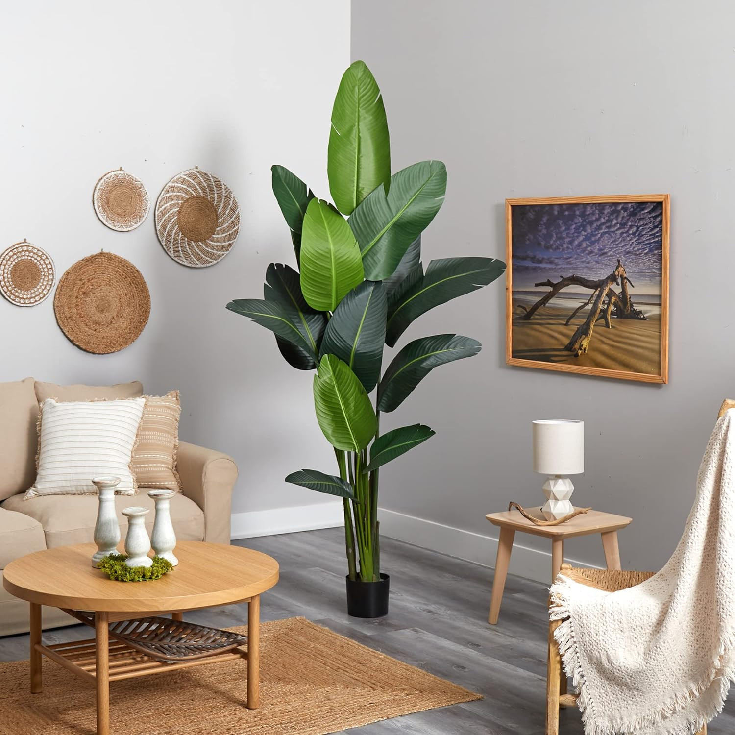 7ft Travelers Palm Artificial Silk Tree – Lush Green Decor for Home or Office