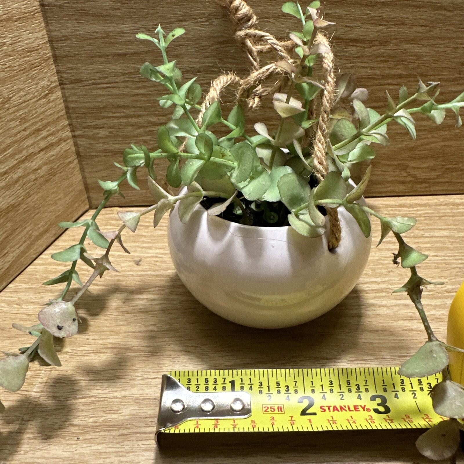 Artificial Faux Plant Hanging White Pot Succulent Green Leaf decor Small Planter