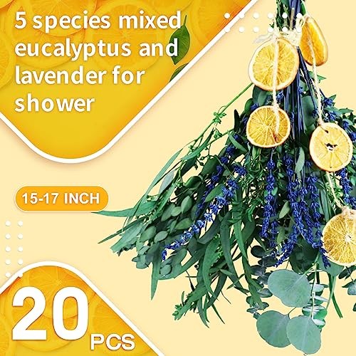 Dried Eucalyptus and Lavender Bundle for Shower, 20pc Natural Hanging Decor