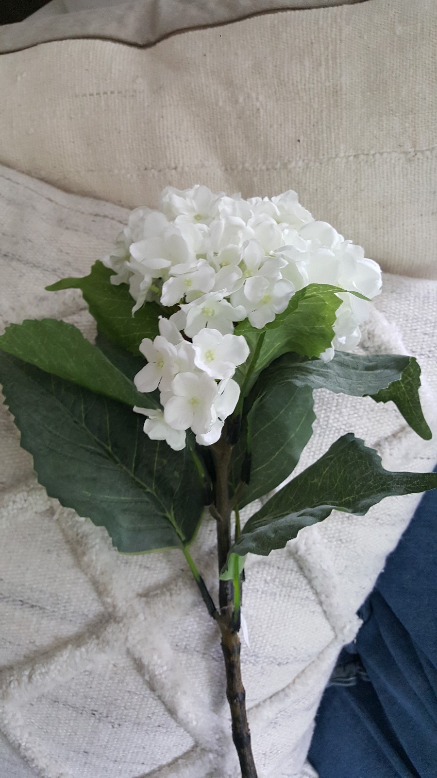 Faux Hydrangea Stems Bundle 12 White & Limelight Green 31 Inch