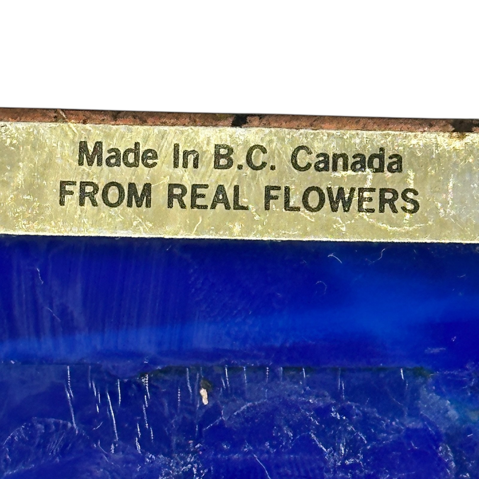 Vintage 70s BC Canada Pressed Flower Fused Glass Tile Cobalt Copper Frame 1½”