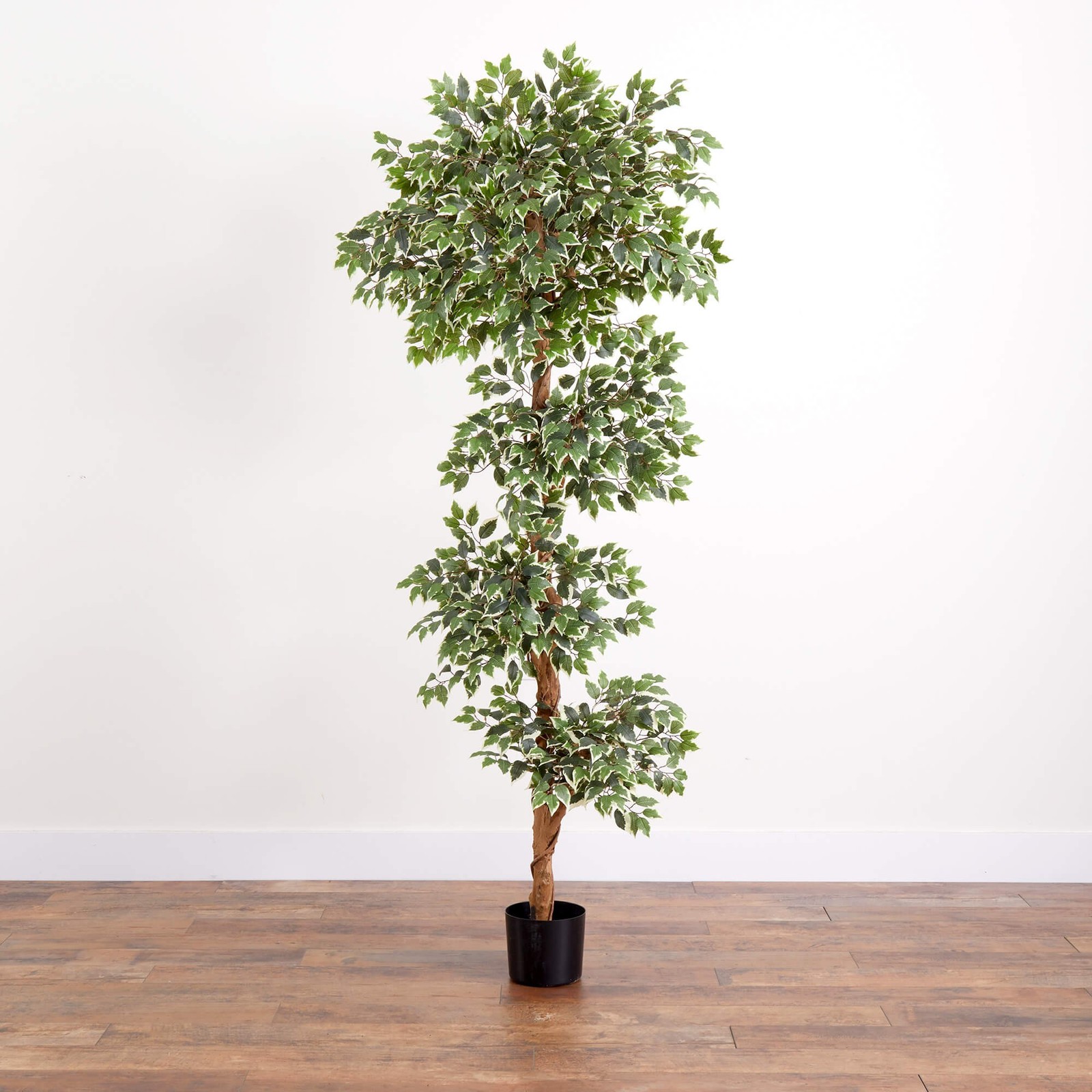 Nearly Natural 72″ Variegated Ficus Tree with 1944 Silk Leaves in Green/Black