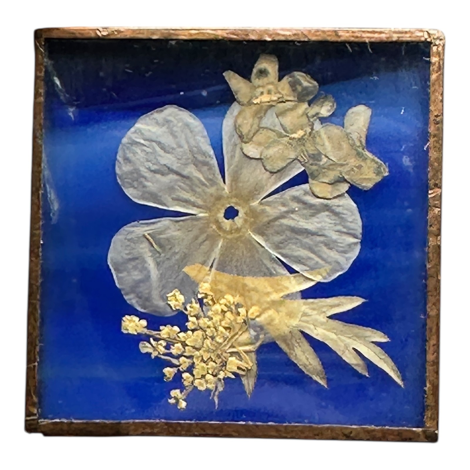 Vintage 70s BC Canada Pressed Flower Fused Glass Tile Cobalt Copper Frame 1½”