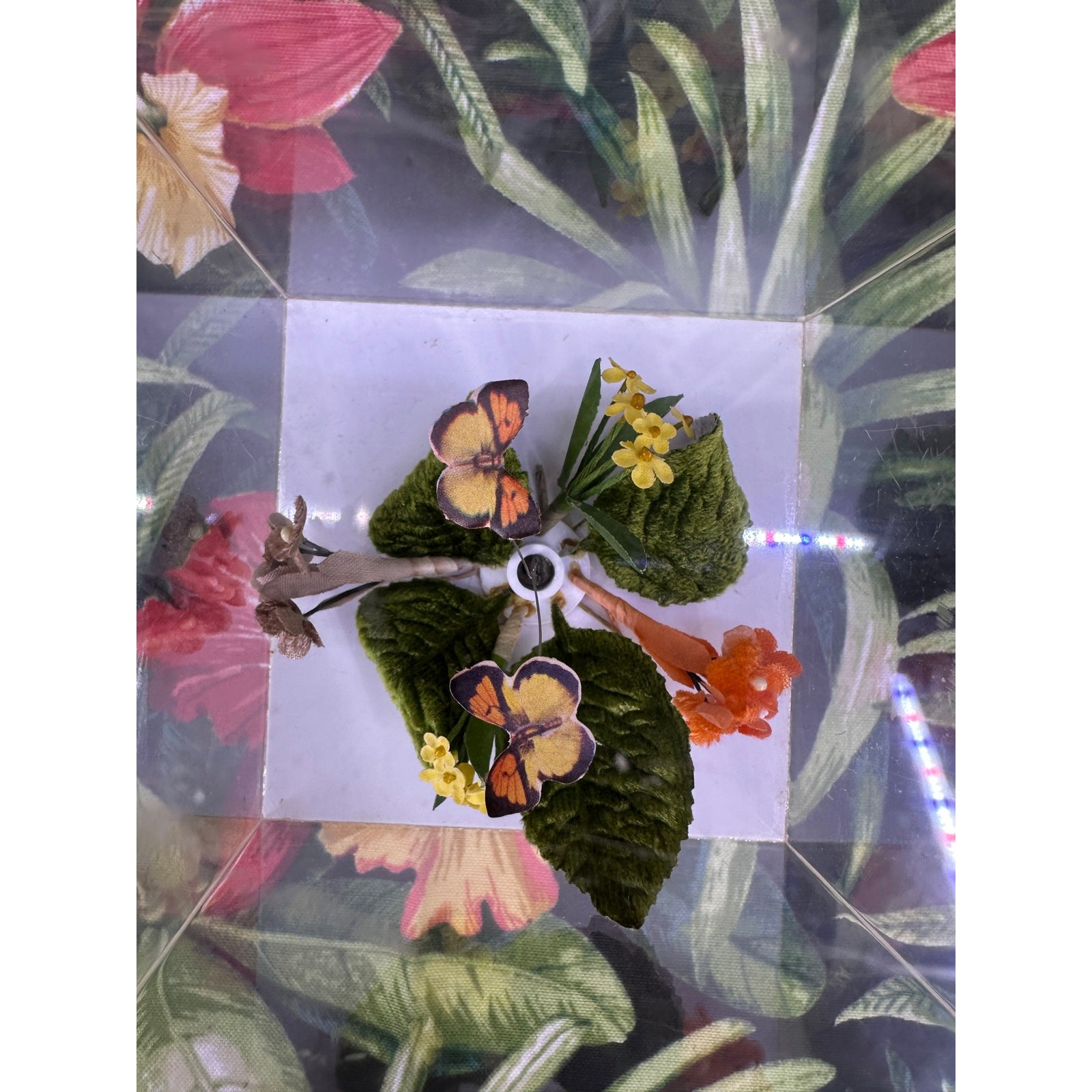 Vintage Unique Monarch Butterfly Clear Working Musical Box