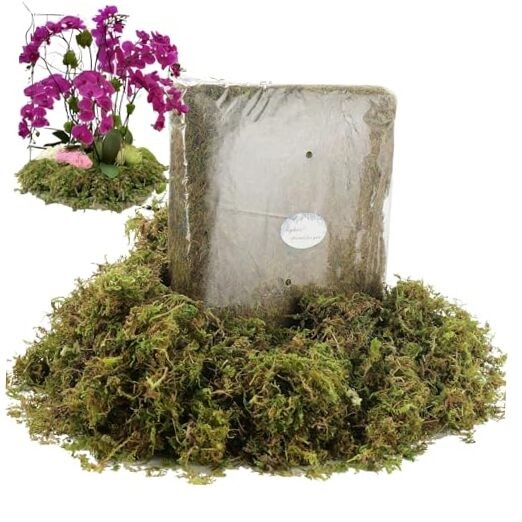 19 OZ Fake Moss for Potted Plants Indoor, Artificial Moss Fresh Green – 540gr