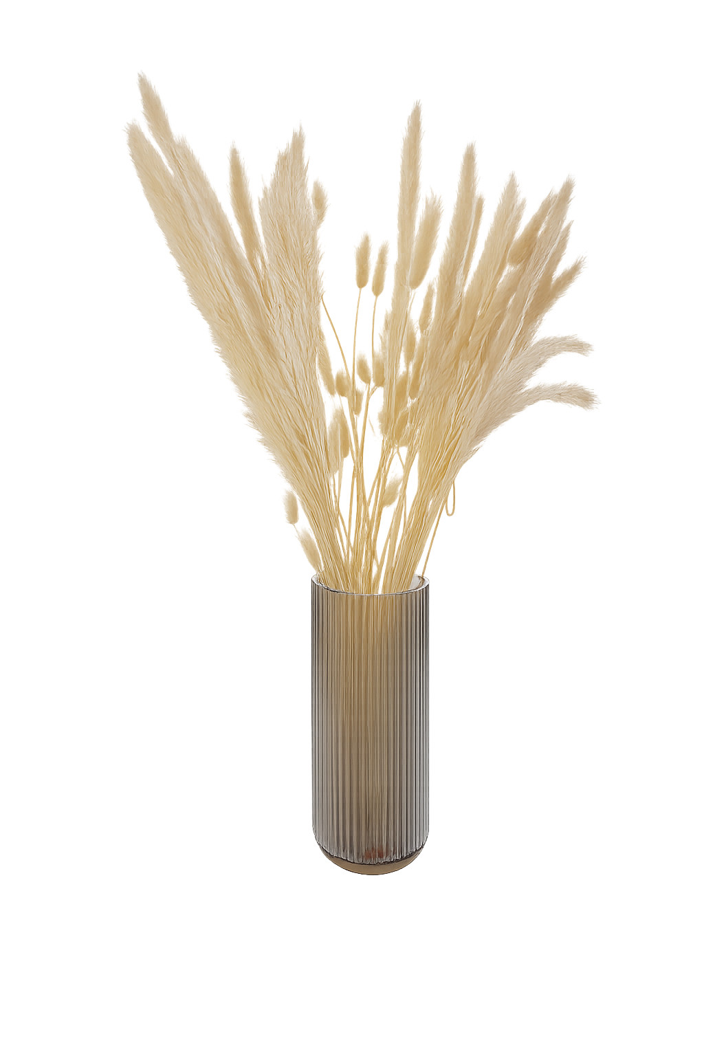Dried Pampas Grass Stems – White/Beige | 20 PCS Bundle | Home Décor, Wedding