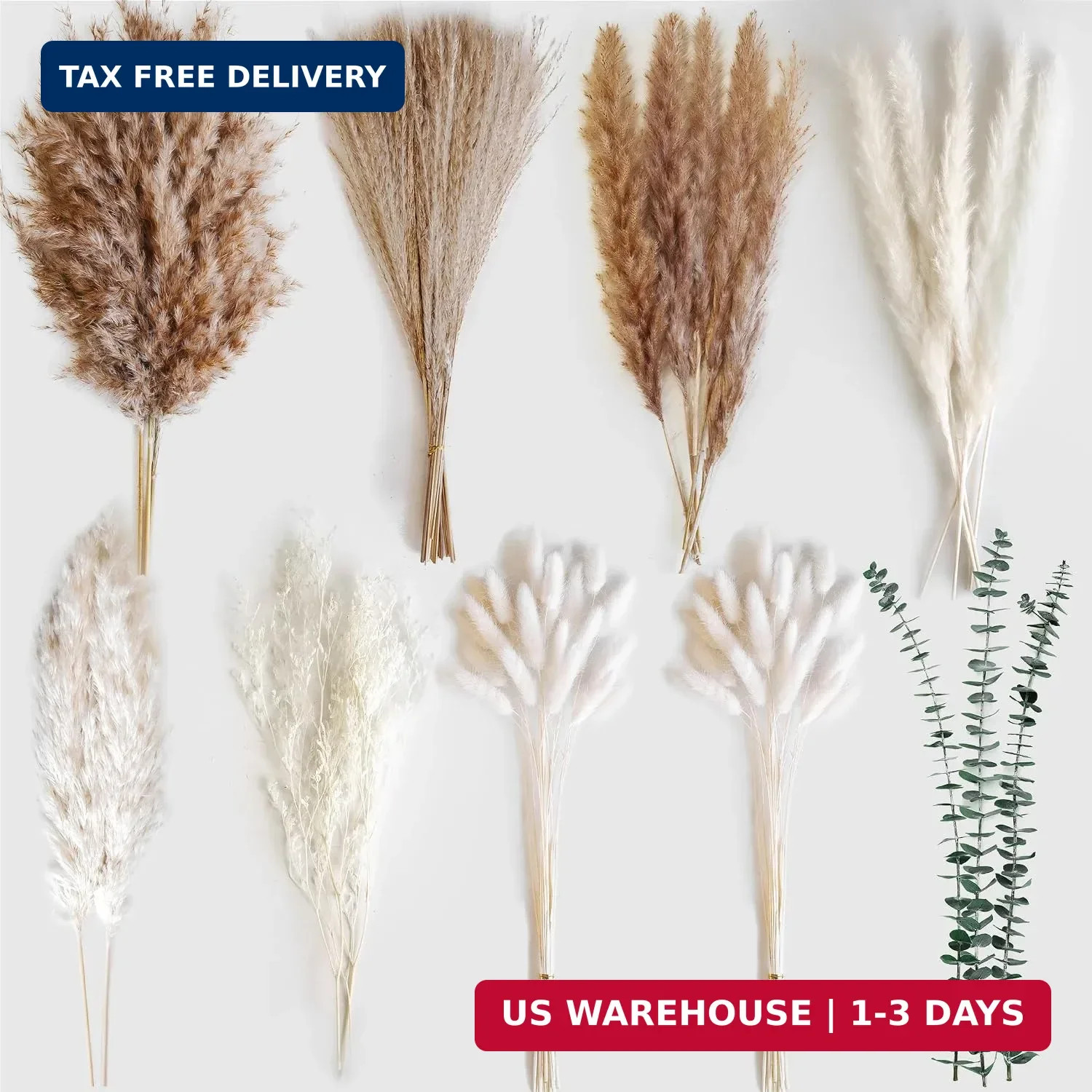 Dried Flower Bouquet – Pampas Grass, Bunny Tails, Olive Green Eucalyptus & Prese