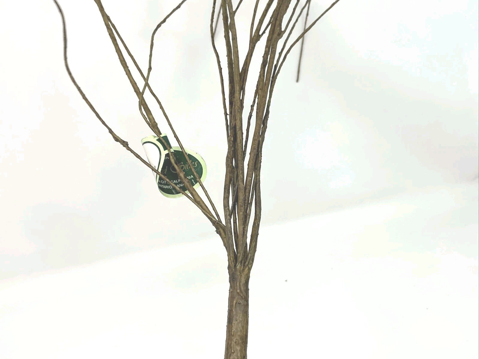 Winward Silks Japanese Zelkova 40” Long Natural Vase Basket Filler 1 Pick NOS