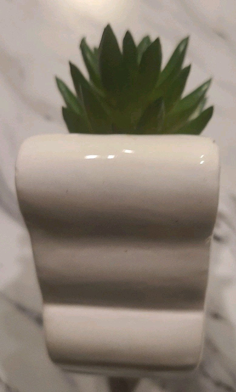 1 Pc Butterfly Planter Faux Succulent Gift (Some Chipping Wear)