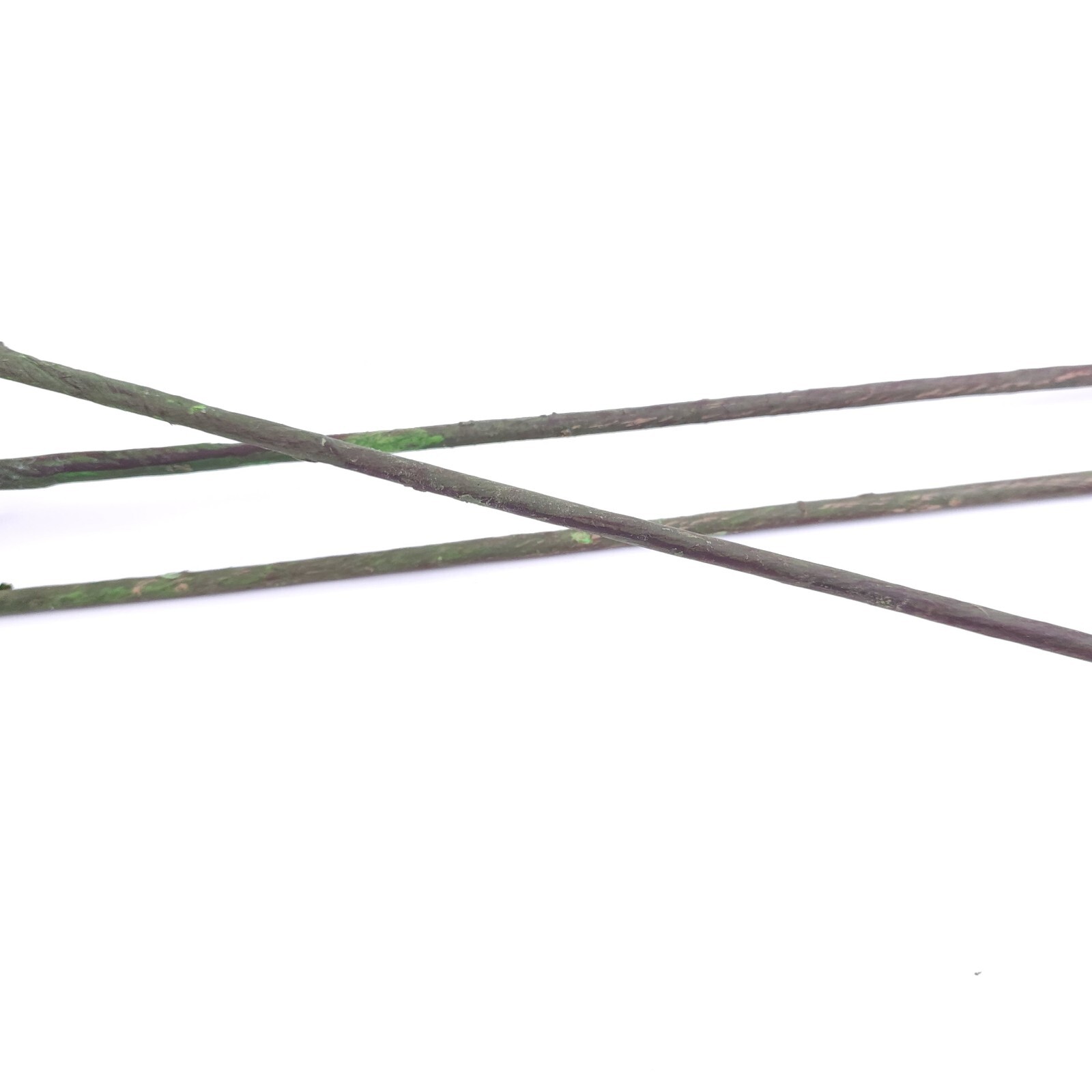Set of 3 38″ Natural Touch Flocked Pine Stems by Valerie