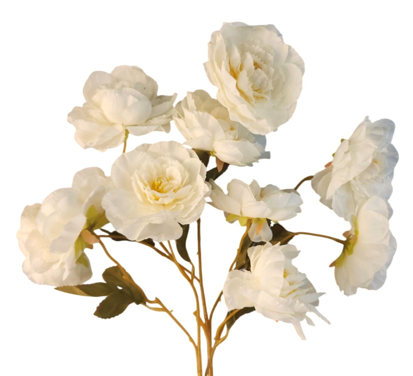 Cream Ranunculus Stems, Faux Ranunculus Flowers, Artificial Flowers, Ivory Flora