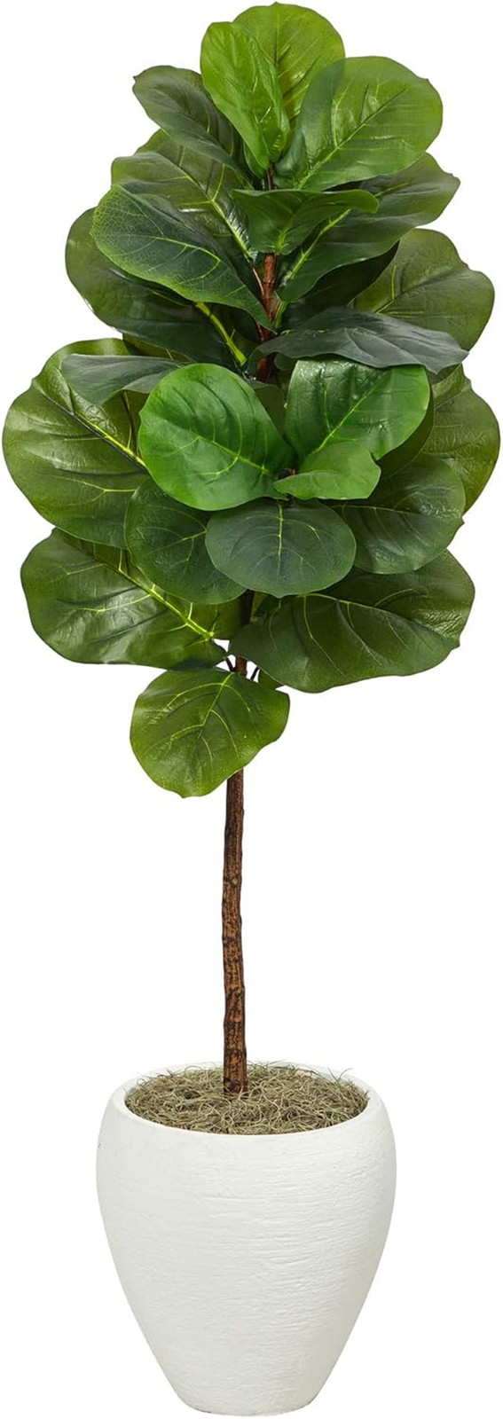 52″ Fiddle Leaf Artificial Tree in Modern White Planter – Lifelike Decor