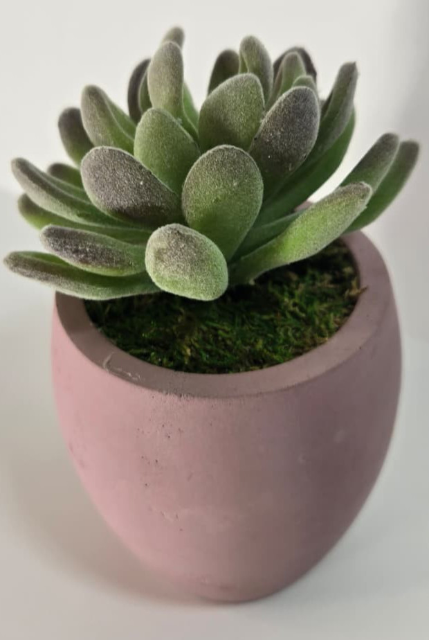Modern Concrete Succulent in Pink Pot – Handmade Decor, No Water Needed!