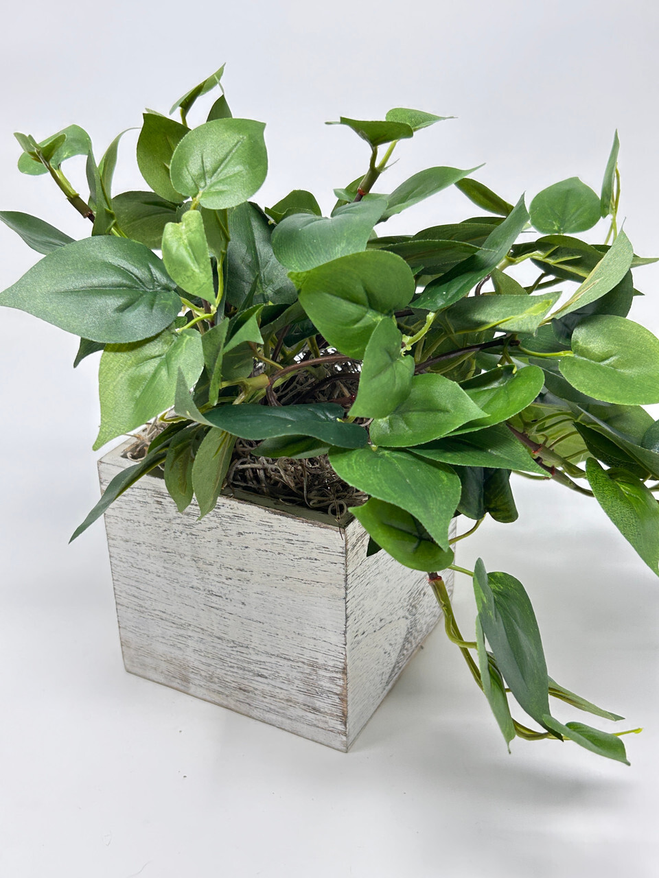 9″ MED Potted faux Green Pothos Vine Silk plant in White wood box – Home Decor