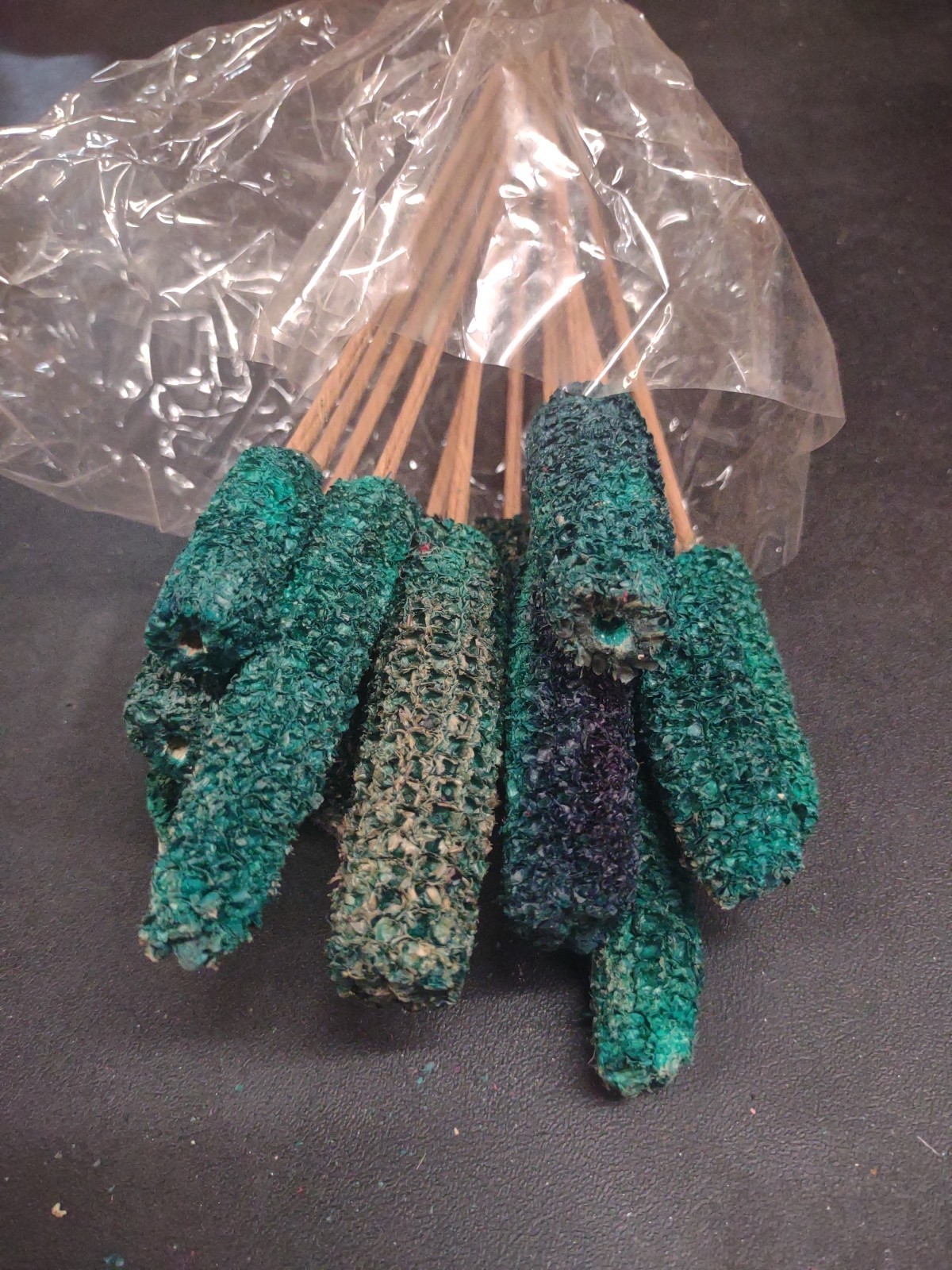 12 Stems of Corncobs, Real Dried Corn Cob “Pods” Teal Blue-Green Turquoise 20″