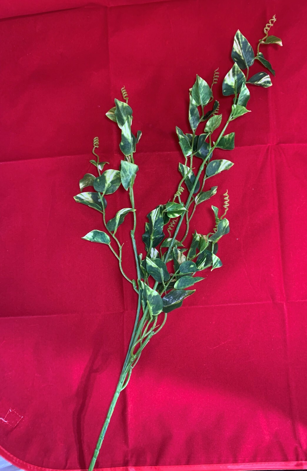 Premium Artificial Pothos Ivy