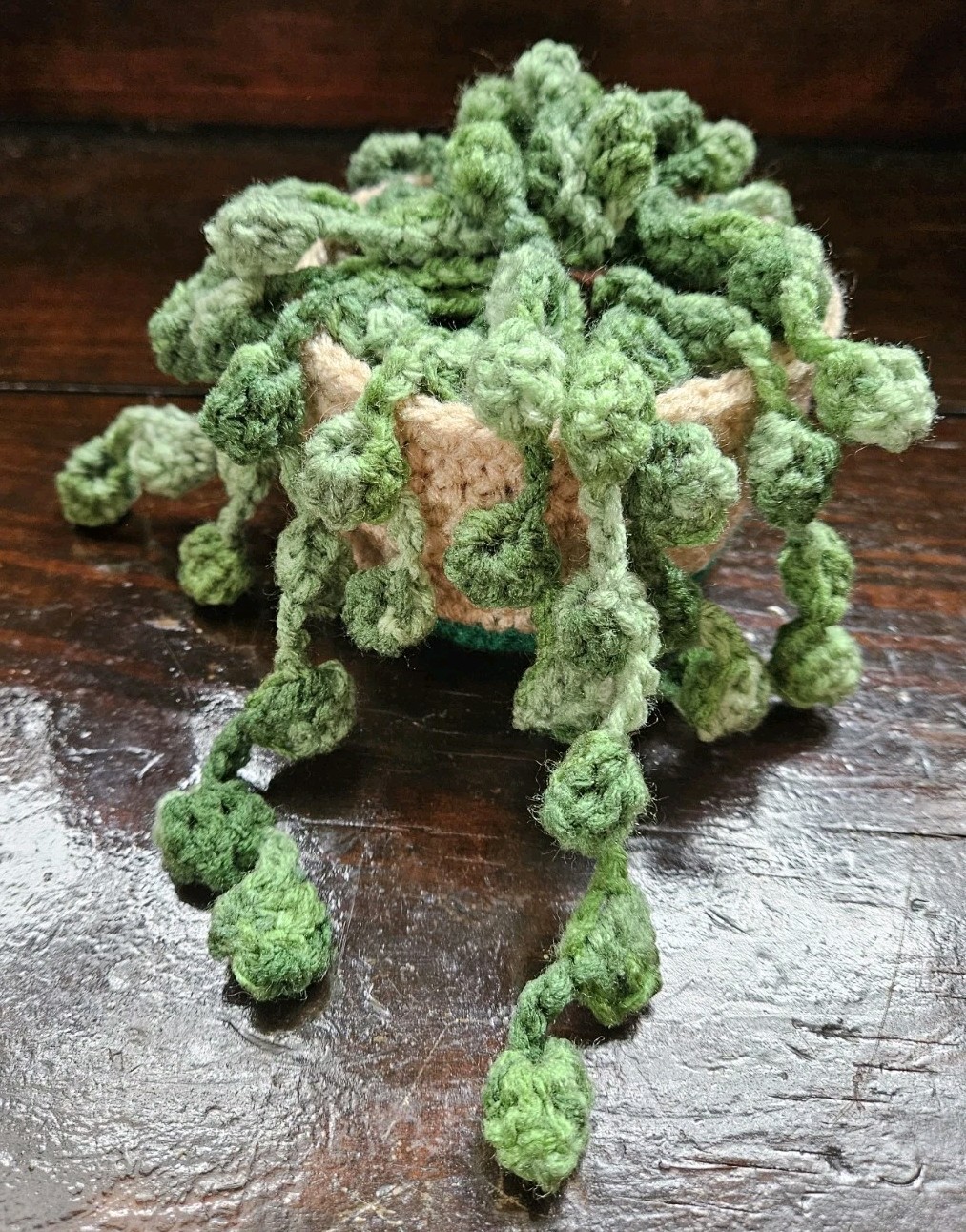 Crochet Home Office Plant Plushie String Of Pearls Succulent Handmade Art Gift