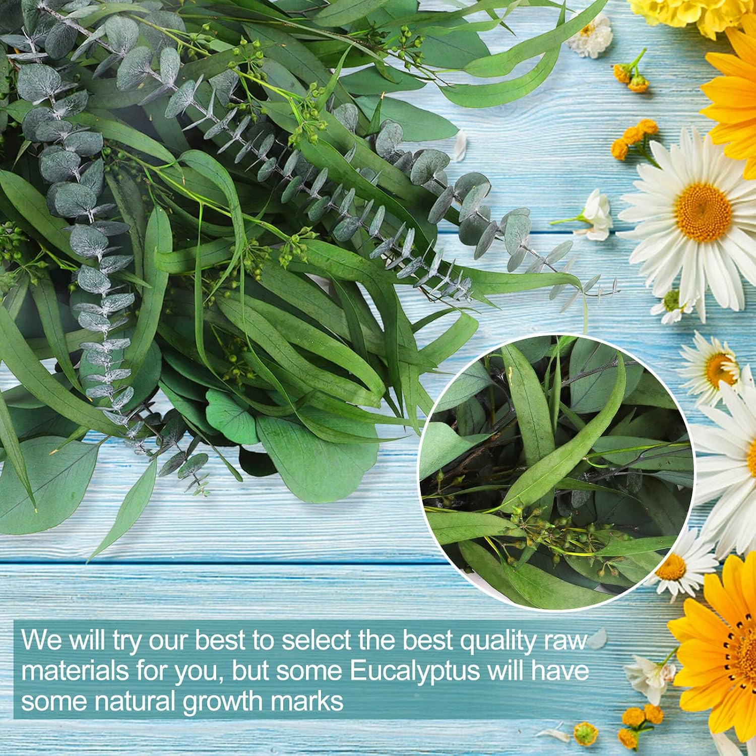 12 Pcs Mixed Real Dried Eucalyptus Leaves Stems – Preserved Eucalyptus