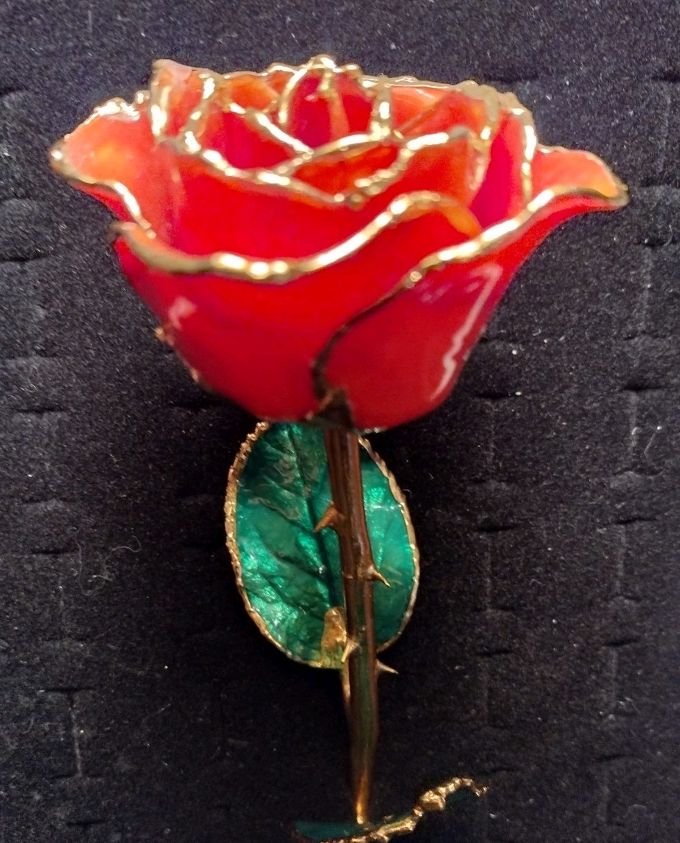 Gold Dipped Rose 24 K Beauty That Lasts Forever With Out The Box
