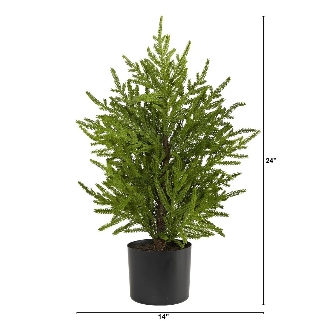 2′ Norfolk Island Pine “Natural Look” Tree in Planter