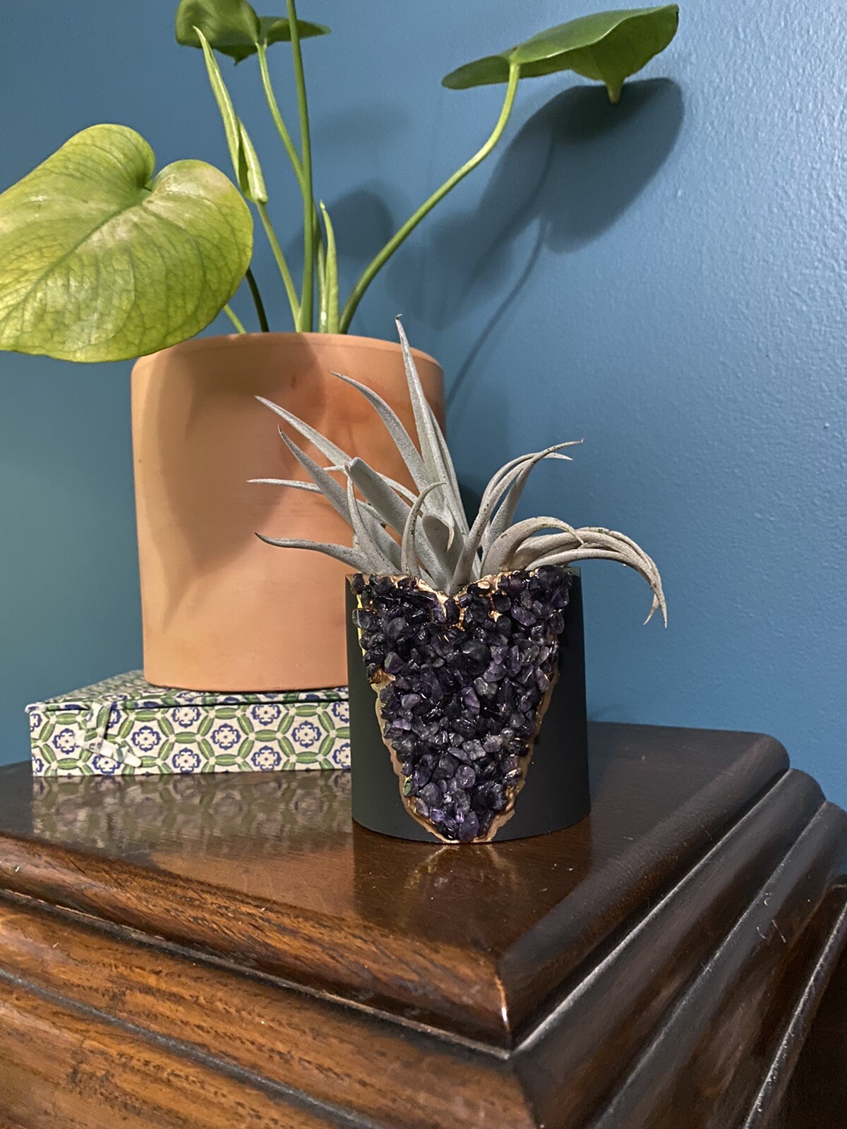 planter pots for succulents
