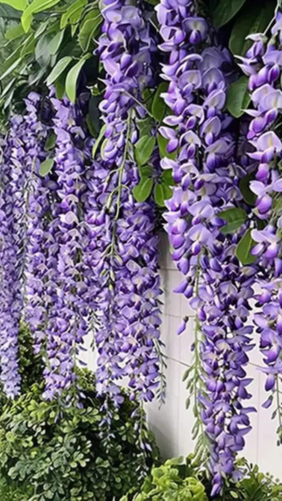 Hanging Faux Purple Wisteria Wedding Floral Decor – 24 pcs, 72 Branches Total